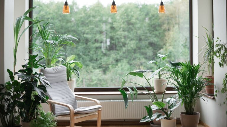 10 Sustainable Home Practices For Reducing Waste and Saving Money